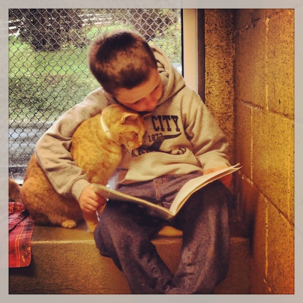 деца четат на котки от приют (1)