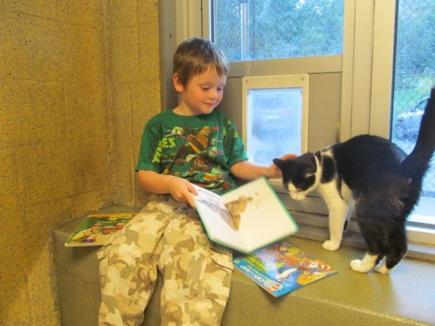 деца четат на котки от приют (7)