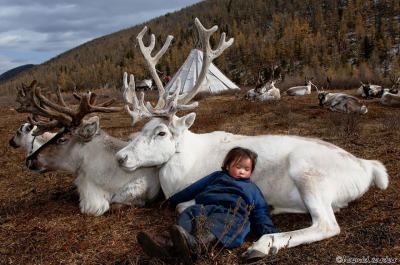 Удивителен фото-роман за изчезващия „народ на елените“