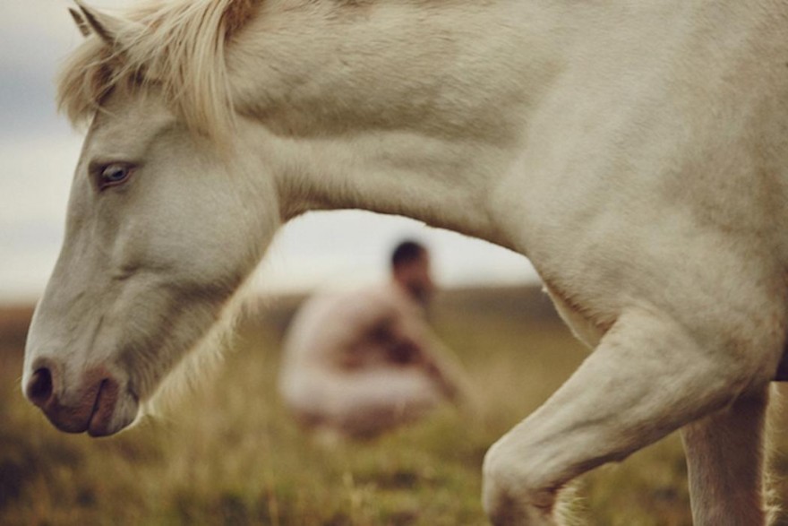 Автопортретите на артист, който тича гол с исландските коне