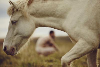 Автопортретите на артист, тичащ гол с исландските коне, за да разбере по-добре човешките си инстинкти