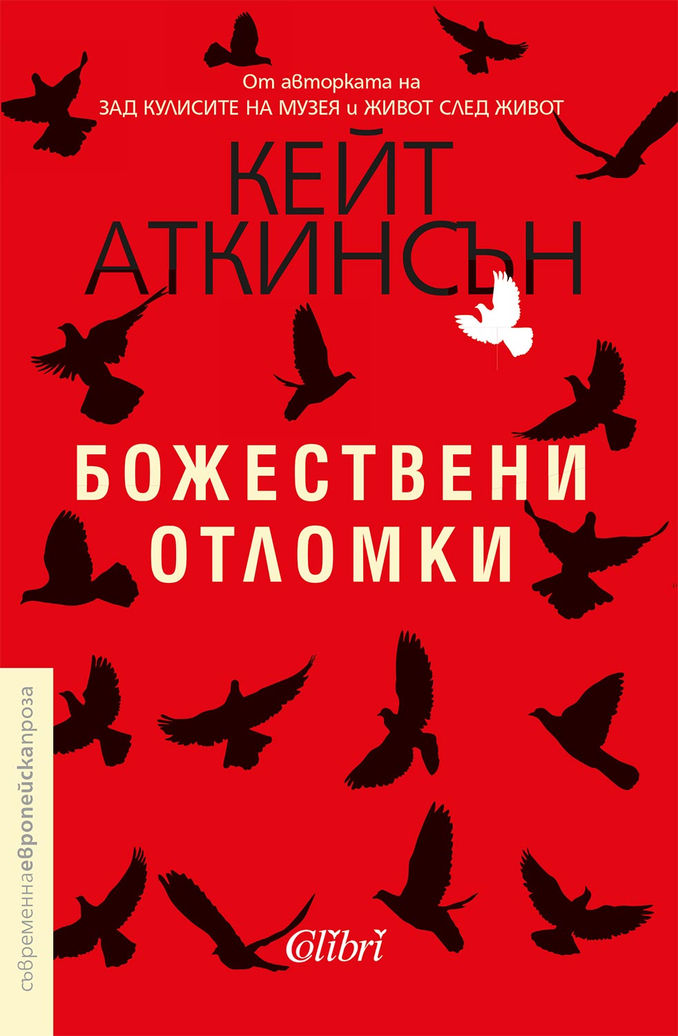 корицата на Божествени отломки