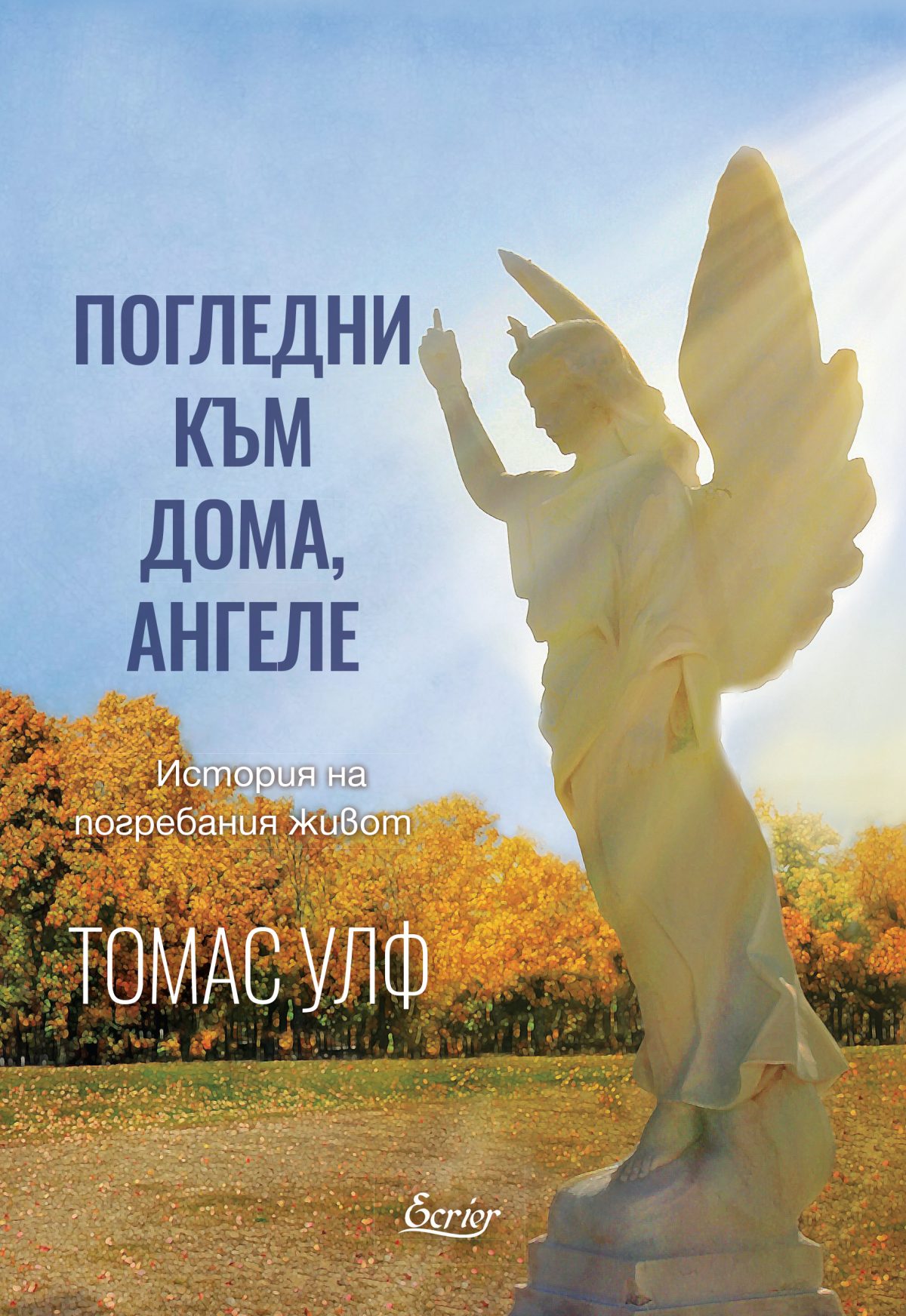 Погледни към дома ангеле: История на погребания живот (корица)
