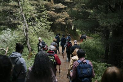 Дора Габе, Албена Тодорова и литературни разходки на Витоша и в „Младост“ – с Литературни маршрути юли 2024