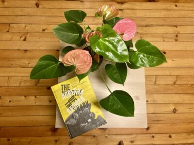 Из „Ловът на охлюла” от Луис Карол